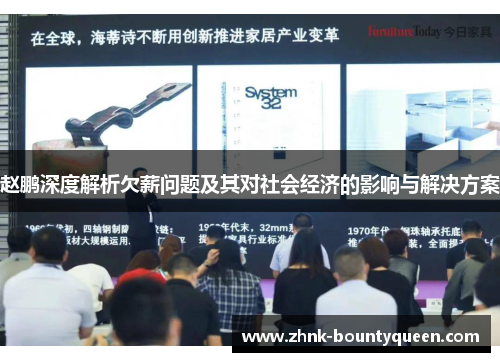 赵鹏深度解析欠薪问题及其对社会经济的影响与解决方案