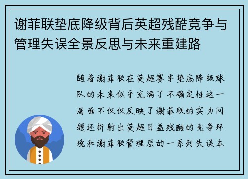 谢菲联垫底降级背后英超残酷竞争与管理失误全景反思与未来重建路