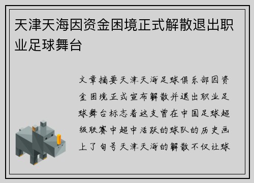 天津天海因资金困境正式解散退出职业足球舞台